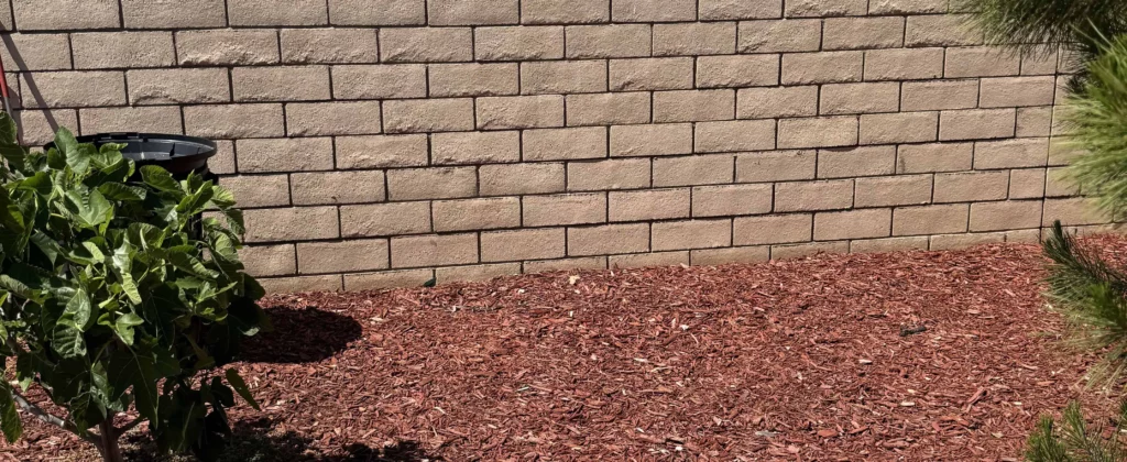 Clean red mulch yard after junk removal near block wall