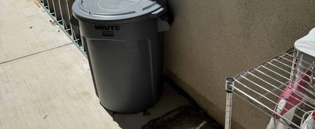 Cleaned side yard with trash bin and utility shelf after junk removal