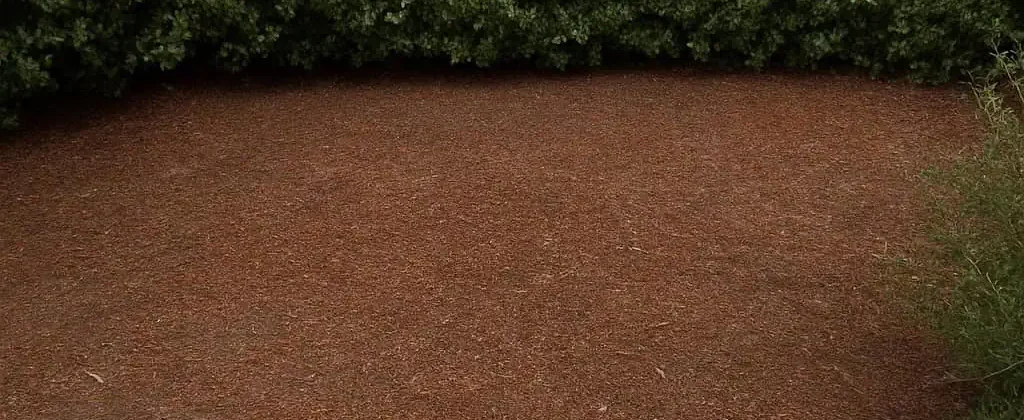 Cleared dirt yard after junk removal in residential area