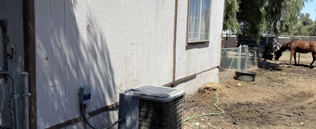 Cleared yard area beside shed after junk cleanup service