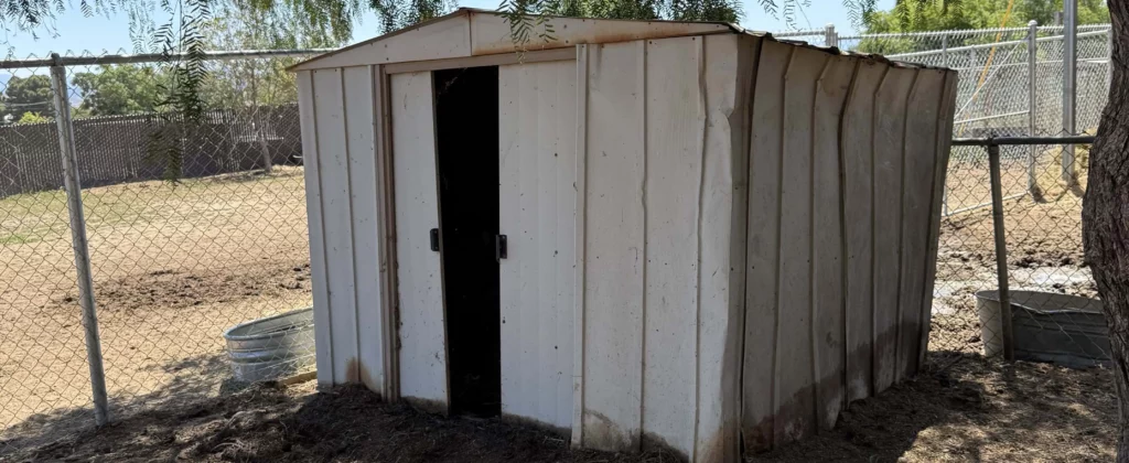 Old metal shed under tree scheduled for junk removal