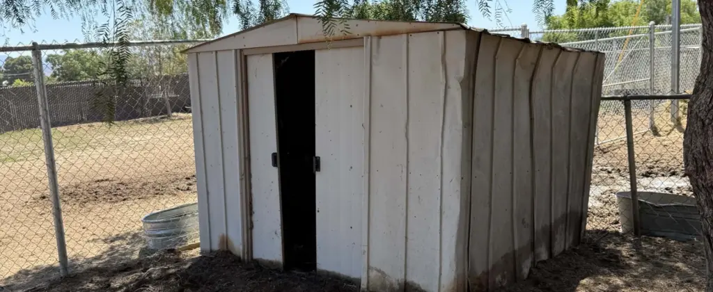 Old metal shed under tree scheduled for junk removal
